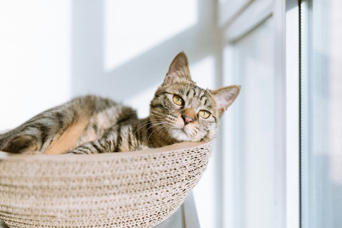 eric han wj6fmn1d h0 unsplash 1 1